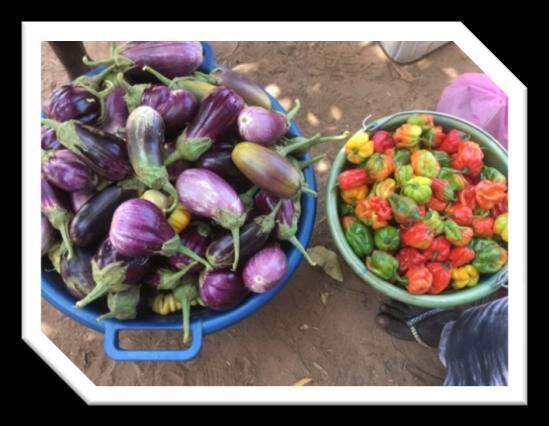 Én af de mest nærliggende muligheder her er at etablere Kvinde haver (grøntsags haver), hvor familier dels får mad til sig selv, dels har mulighed for at sælge overskydende afgrøder på markedet.