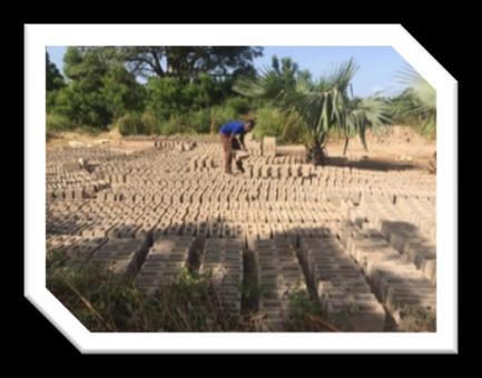 no/2014/03/myfarm-en-entreprenorskole-i-gambia/) har i en årrække finansieret uddannelsen af især yngre Gambier i at dyrke grøntsager mv. Dette gøres på My Farm som ligger ca. 20 km fra Galloya.