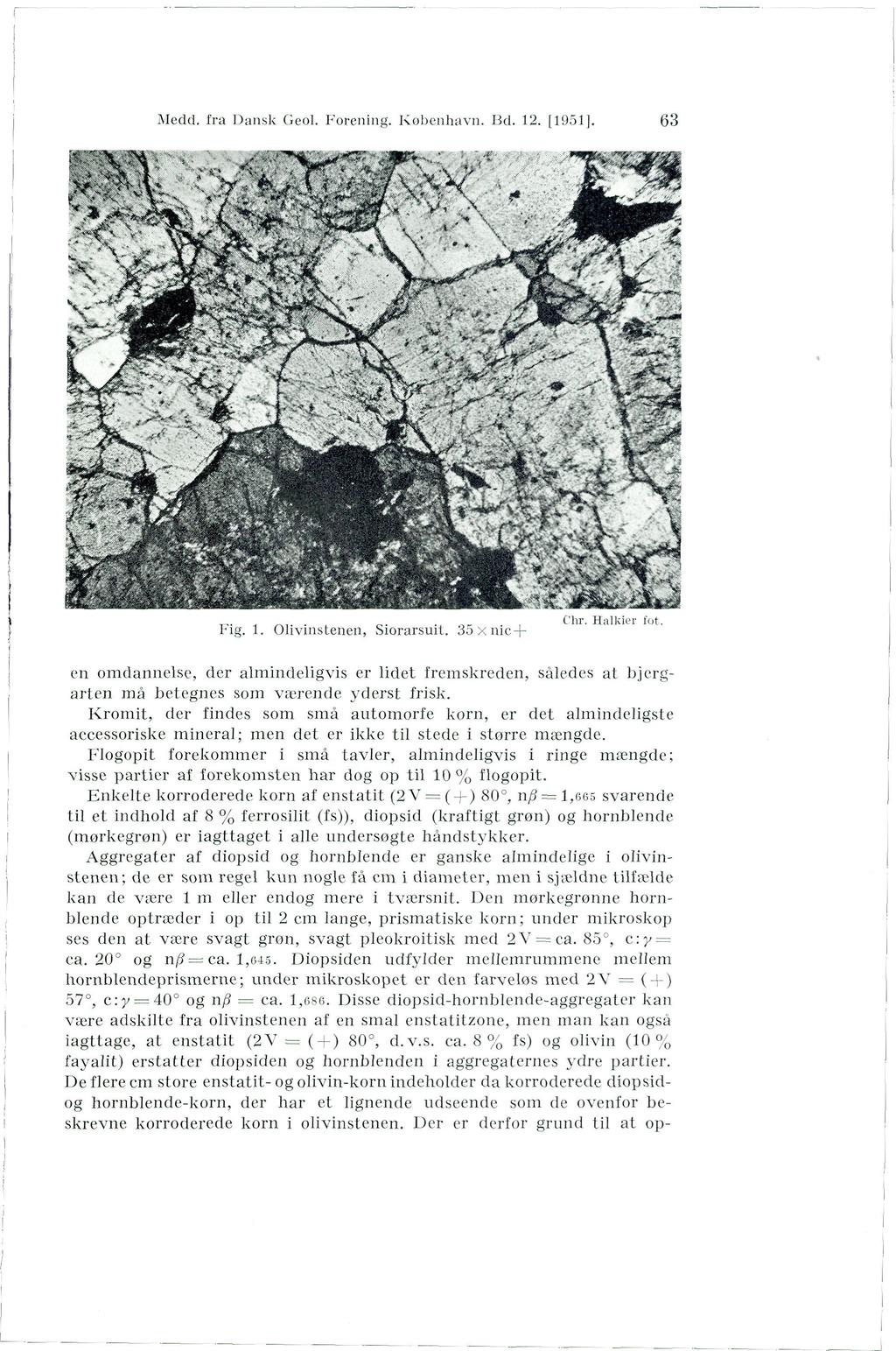 Medd. fra Dansk Geol. Forening. København. Bd. 12. [1951]. 63 Mg. 1. Olivinstenen, Siorarsuit. 35xnic + Chr. Halkier tot.