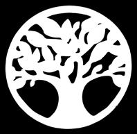 TREE of Life Livets træ et symbol på fremtidsperspektiv.