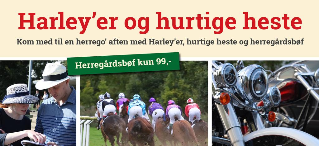 4 Redcoat var markant forbedret senest i Aarhus, hvor Sabina Gammelgaards hest sluttede godt af til fjerdeplads.
