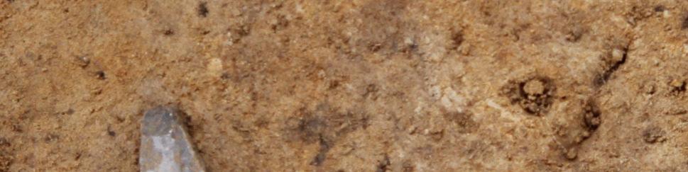 Umiddelbart vest for profil 3712 fandtes, knap 5 cm nede i fylden, ravskive 3742 og ca. midt i gravens sydvestlige del, ca. 10 cm nede i fylden fandtes flintøkse 3741.