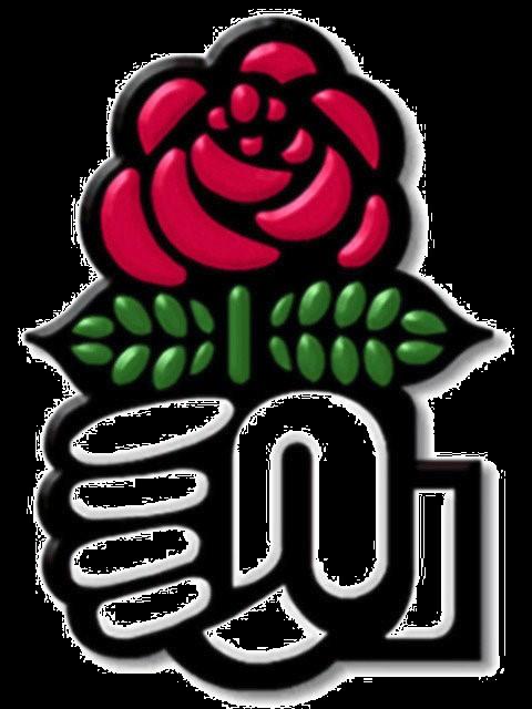 Rosen De socialdemokratiske partier har en rød rose som partisymbol. Historisk set stammer den røde rose fra 1970'erne, hvor de danske socialdemokrater kopierede det franske socialistpartis bomærke.