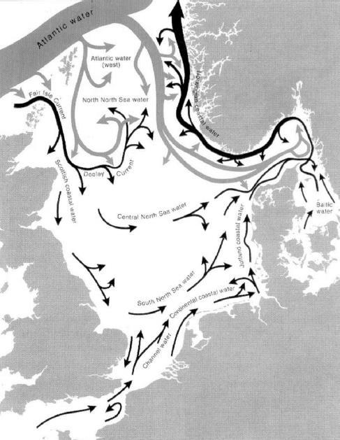 Figur 5-4. Skematisk gengivelse af netto-cirkulationen i Nordsøen, Skagerrak, samt Kattegat. Mørke pile viser strømninger i overfladen og de lyse pile viser dybereliggende strømme.