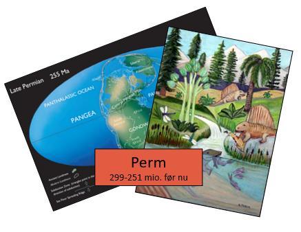Eksempel: under Perm var kontinenterne samlet i superkontinentet Pangea. Dyrelivet bestod af leddyr, padder og reptiler, og vegetationen af nøgenfrøede planter og træer, såsom nåletræer.