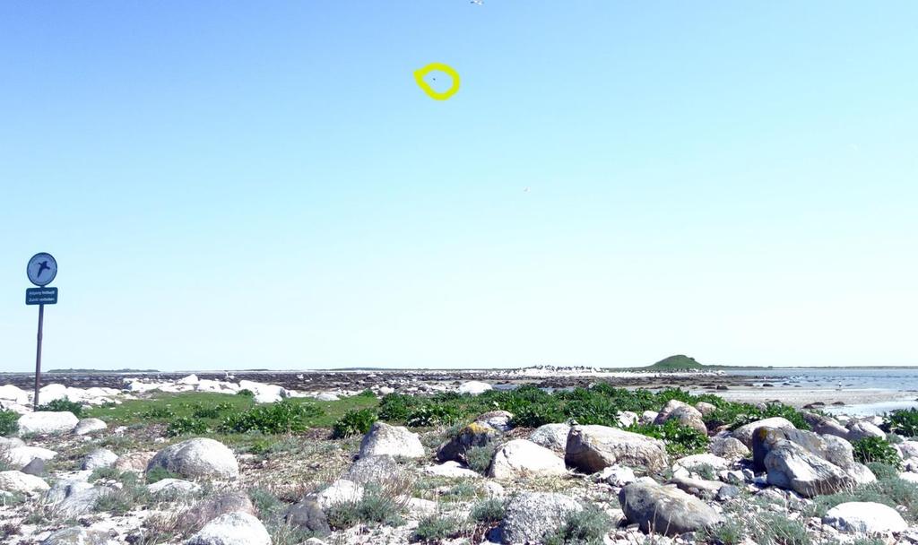 Figur 18. Dronen ses som en prik hvor den flyver over Kollerne. Foto: Max E.