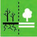 bæredygtigt skovbrug, bekæmpe ørkendannelse, standse udpining