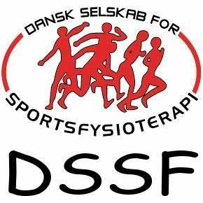 Fagligt katalog udarbejdet for Dansk Selskab for Sportsfysioterapi HJERNERYSTELSE I SPORT