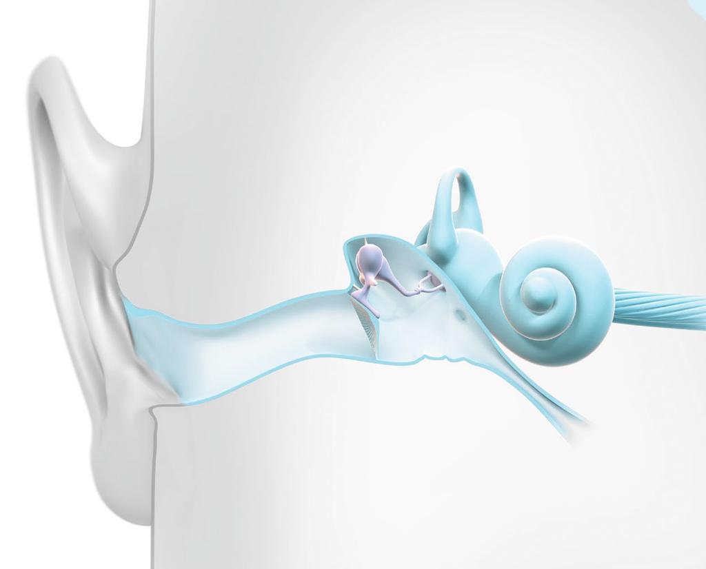 Sådan fungerer hørelsen Pinna/det ydre øre Det menneskelige øre har tre hoveddele: Det ydre øre, mellemøret og det indre øre.