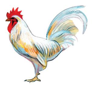 Viden om høns Læs denne faglige tekst om høns. Sæt x ved ja eller nej. Høns er hus-dyr.
