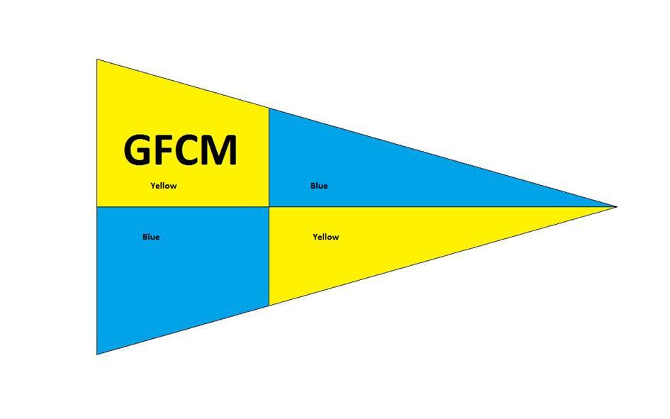 BILAG V Model for GFCM's