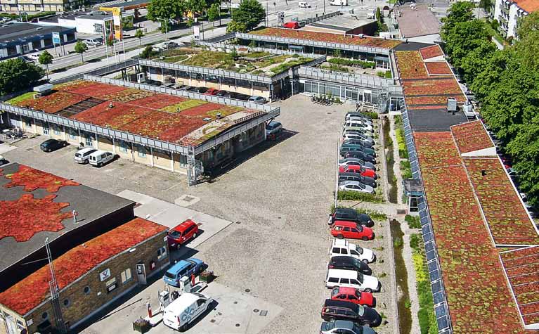 Planter på taget er et effektivt middel mod oversvømmede kældre og kloakker. I Malmø demonstrerer den 9.000 m 2 store Augustenborg Botaniske Taghave, hvordan det virker.