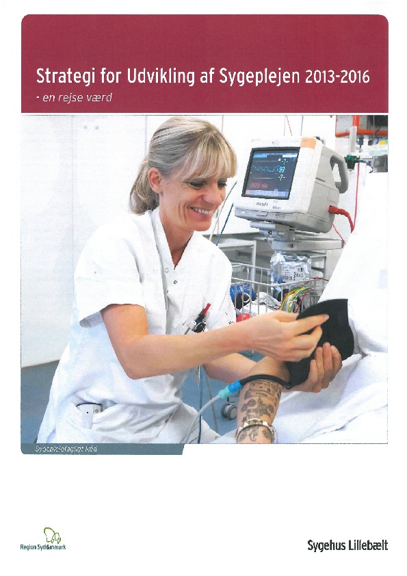 Strategi for udviklingen af Sygeplejen 2013-2016, Sygehus Lillebælt De tre strategiske temaer: Patientcentreret sygepleje der bidrager til et sammenhængende forløb for patient og pårørende