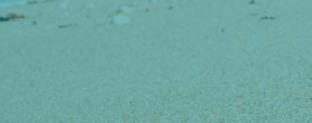 Et hav fuld af mikro plastik Foto: Colourbox Snigpremiere på artikel i Aktuel Naturvidenskab 2-2015 Billeder af døde havfugle med maven fuld af plastikstykker, kvalte havskilpadder, der forvekslede