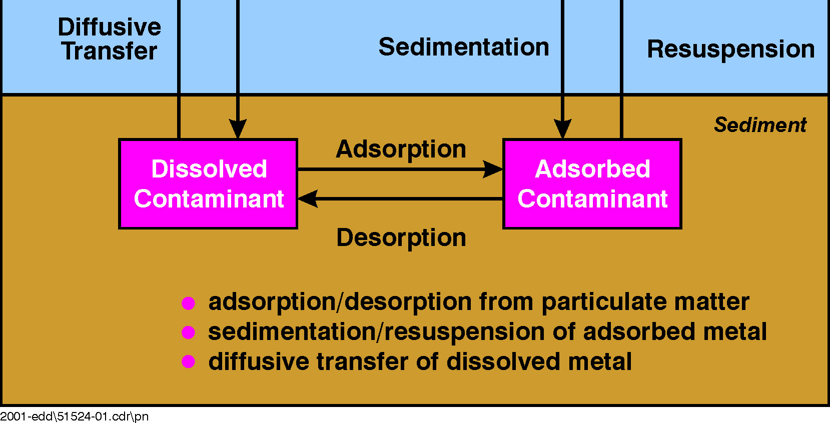 Figur 3.4 Skematisk fremstilling af adsorptionsprocesser mellem miljøfremmede stoffer og partikulært materiale, /14/.