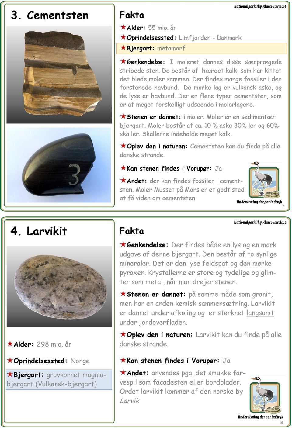 Der er flere typer cementsten, som er af meget forskelligt udseende i molerlagene. Stenen er dannet: i moler. Moler er en sedimentær bjergart. Moler består af ca. 10 % aske 30% ler og 60% skaller.