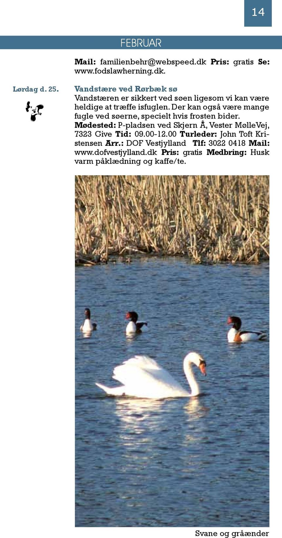 Der kan også være mange fugle ved søerne, specielt hvis frosten bider.