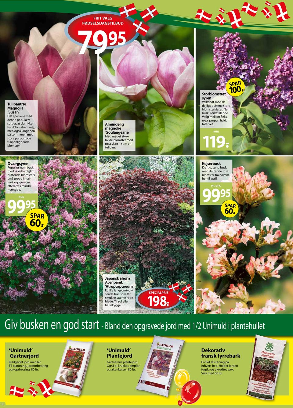 Vælg mellem f.eks. rosa, purpur, hvid, tofarvet. 9.- 00.- Dværgsyren Populær nem busk med violette dejligt duftende blomster i små toppe i majjuni, og igen om efteråret i mindre mængde. 99 95 99 60.