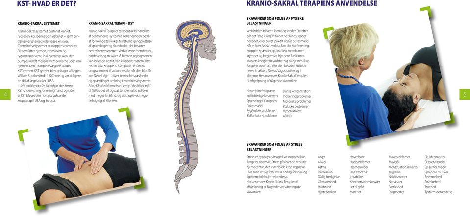 halebenet samt centralnervesystemet inde i disse knogler. Centralnervesystemet er kroppens computer. Det omfatter hjernen, rygmarven og rygmarvsnerverne inkl.