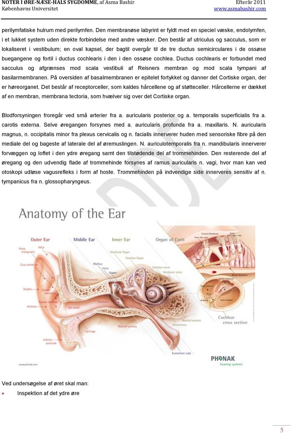 den ossøse cochlea. Ductus cochlearis er forbundet med sacculus og afgrænses mod scala vestibuli af Reisners membran og mod scala tympani af basilarmembranen.