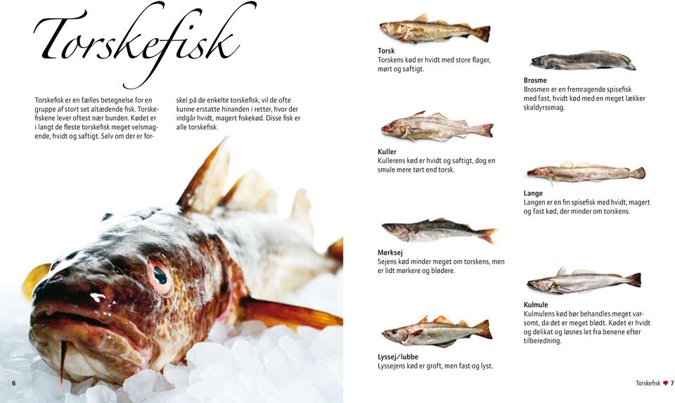 Selv om der er forskel på de enkelte torskefisk, vil de ofte kunne erstatte hinanden i retter, hvor der indgår hvidt, magert fiskekød. Disse fisk er alle torskefisk.