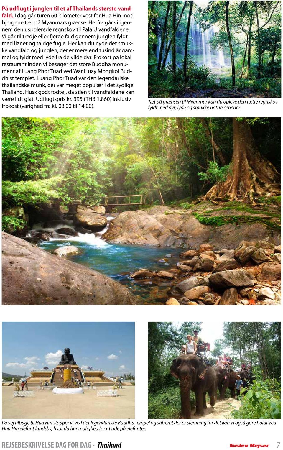 Her kan du nyde det smukke vandfald og junglen, der er mere end tusind år gammel og fyldt med lyde fra de vilde dyr.
