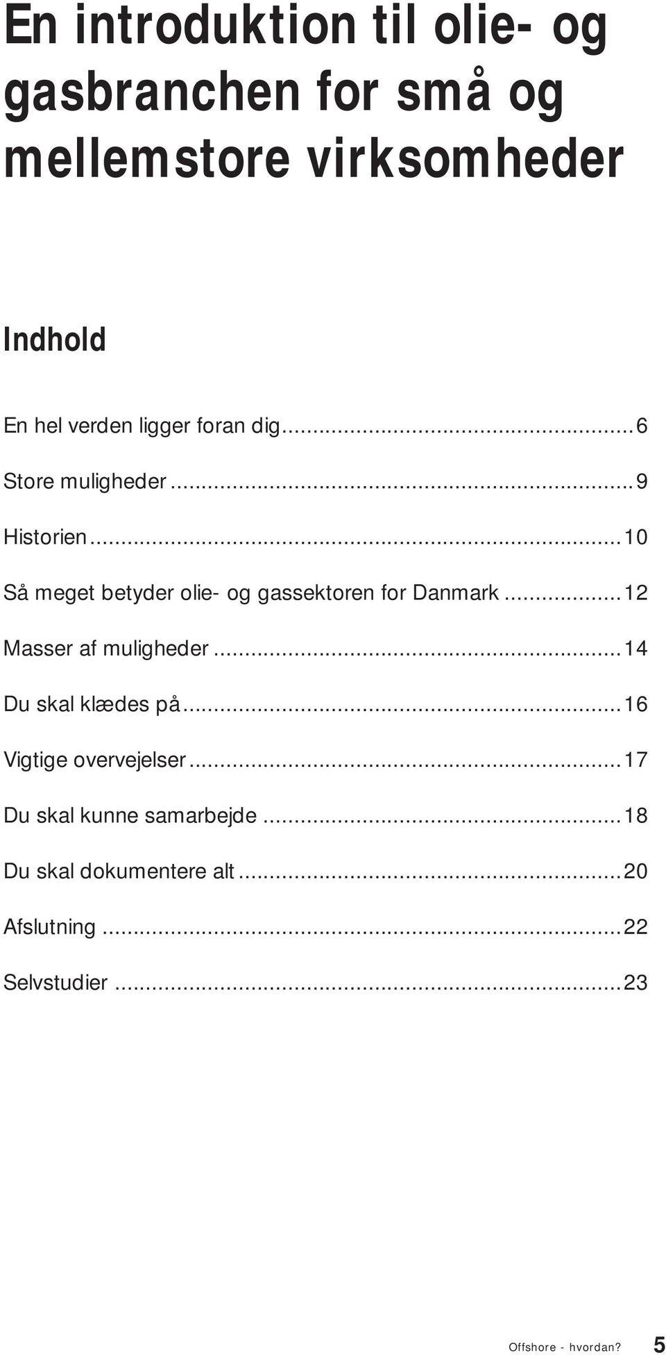 ..10 Så meget betyder olie- og gassektoren for Danmark...12 Masser af muligheder.