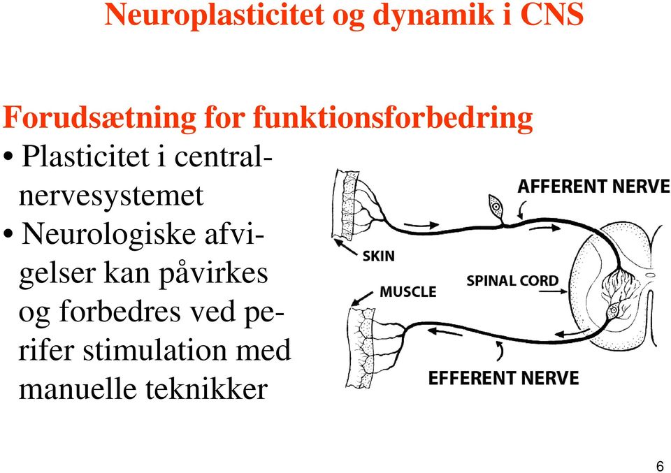 centralnervesystemet Neurologiske afvigelser kan