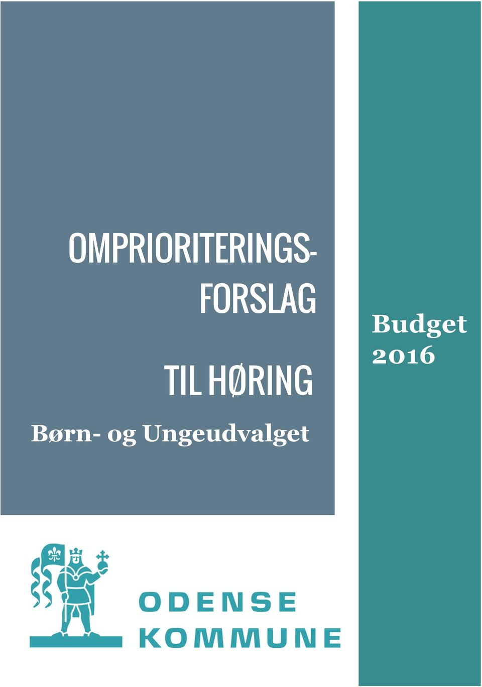 HØRING Budget