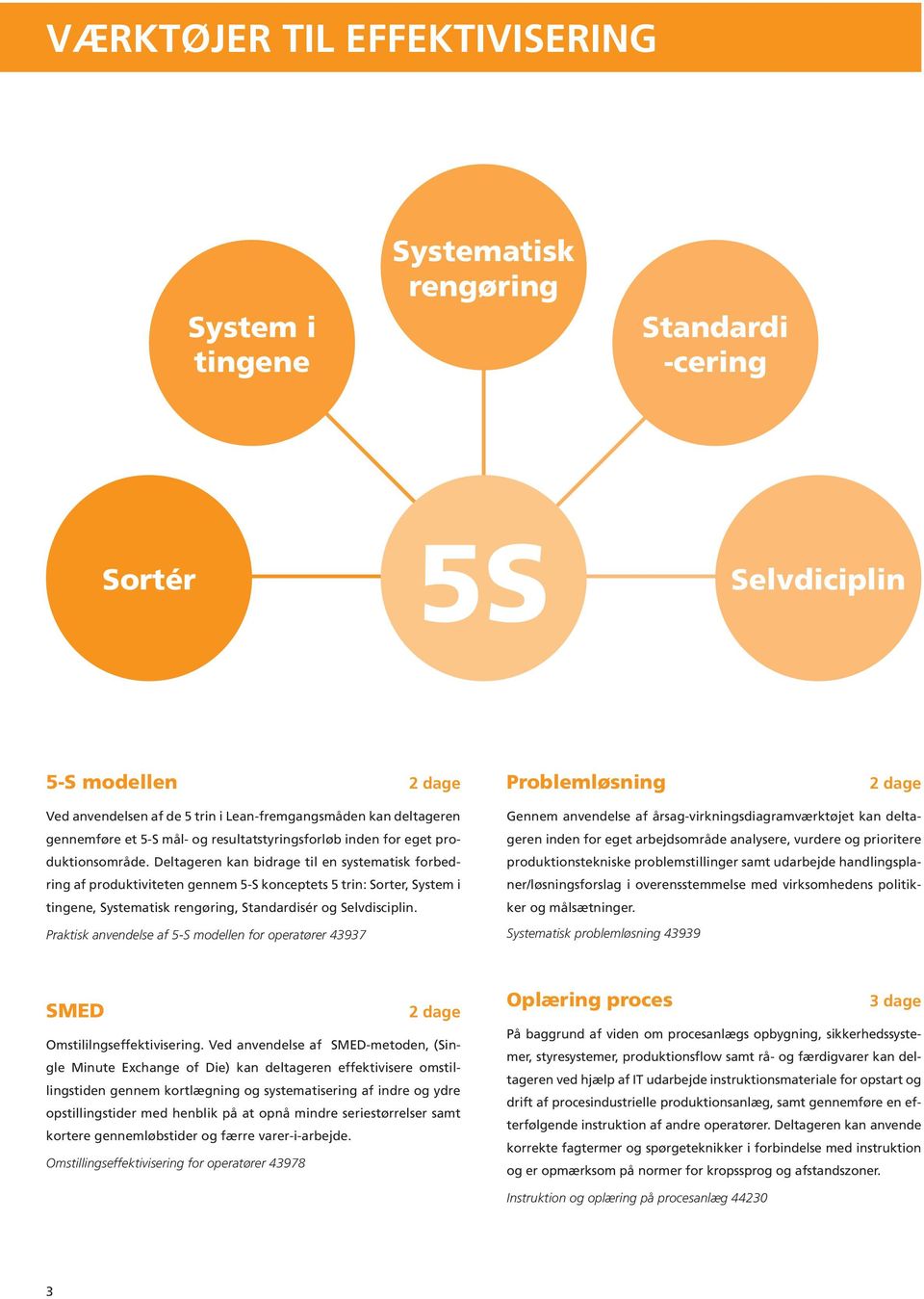 Deltageren kan bidrage til en systematisk forbedring af produktiviteten gennem 5-S konceptets 5 trin: Sorter, System i tingene, Systematisk rengøring, Standardisér og Selvdisciplin.
