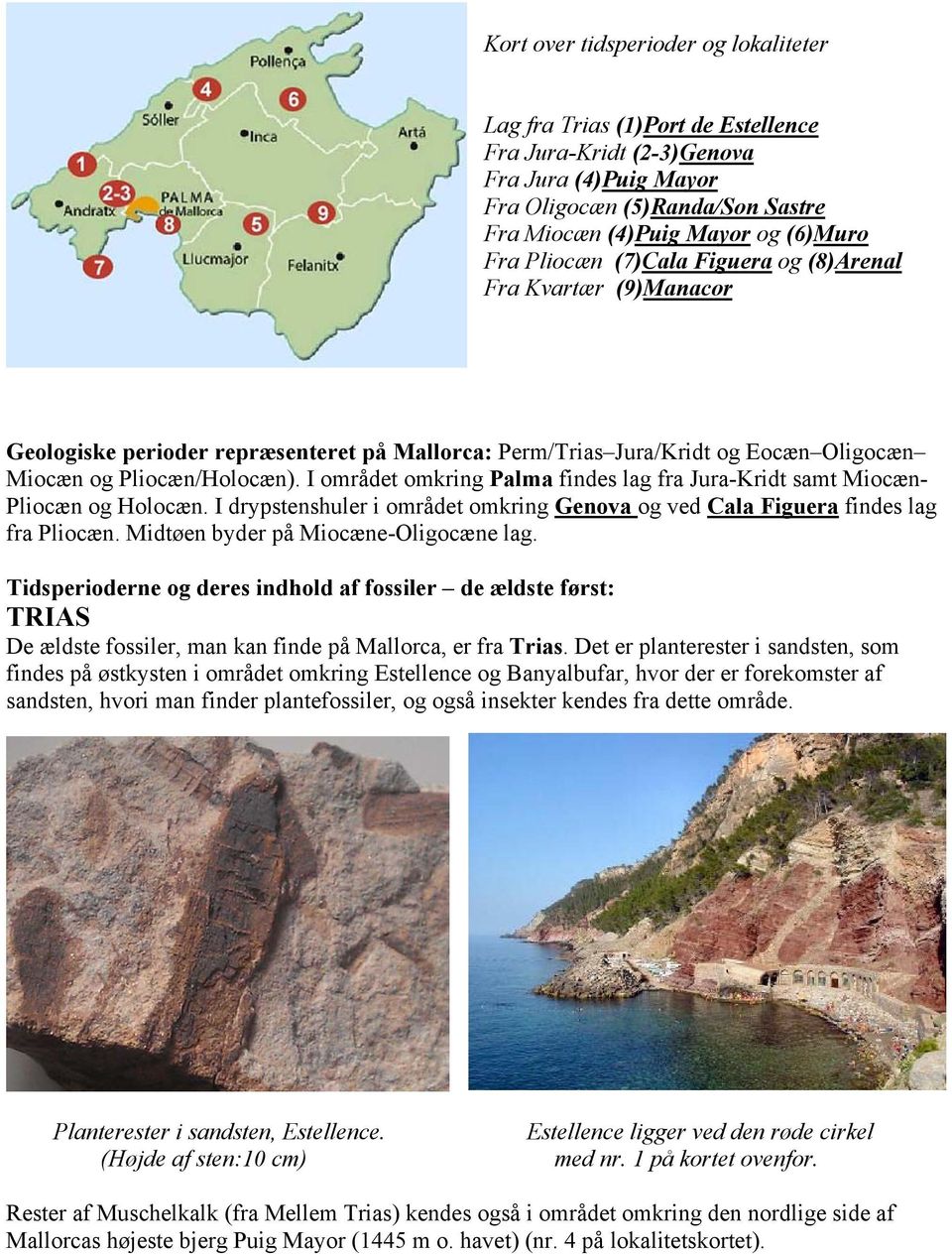 I området omkring Palma findes lag fra Jura-Kridt samt Miocæn- Pliocæn og Holocæn. I drypstenshuler i området omkring Genova og ved Cala Figuera findes lag fra Pliocæn.