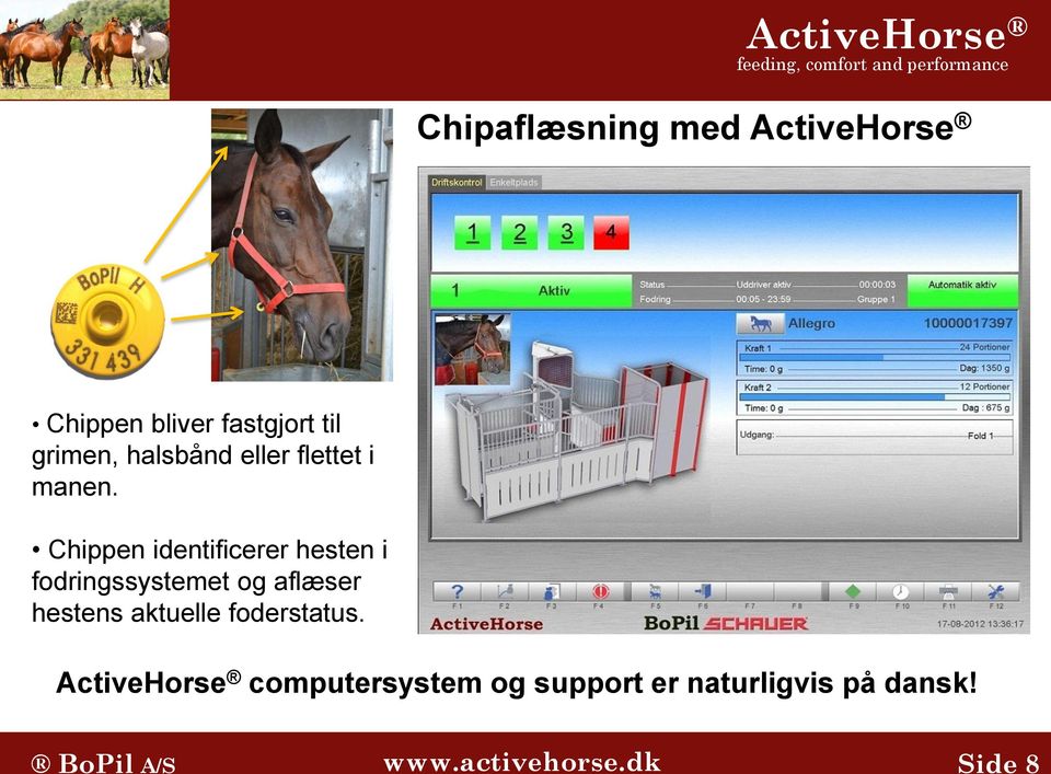 Chippen identificerer hesten i fodringssystemet og aflæser hestens