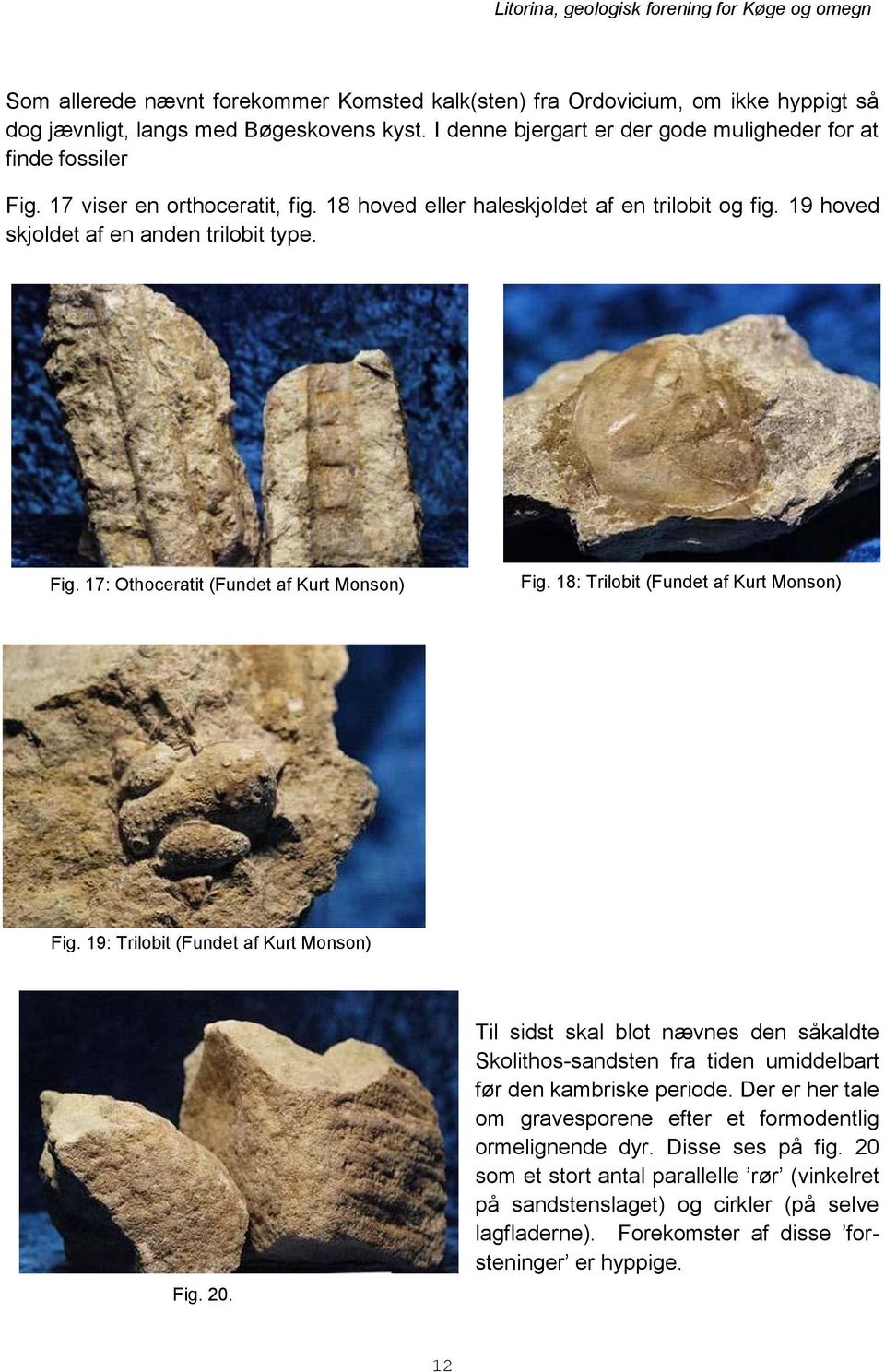 18: Trilobit (Fundet af Kurt Monson) Fig. 19: Trilobit (Fundet af Kurt Monson) Fig. 20. Til sidst skal blot nævnes den såkaldte Skolithos-sandsten fra tiden umiddelbart før den kambriske periode.