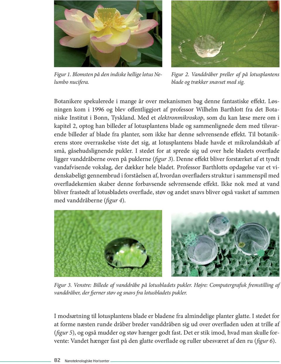 Med et elektronmikroskop, som du kan læse mere om i kapitel 2, optog han billeder af lotusplantens blade og sammenlignede dem med tilsvarende billeder af blade fra planter, som ikke har denne