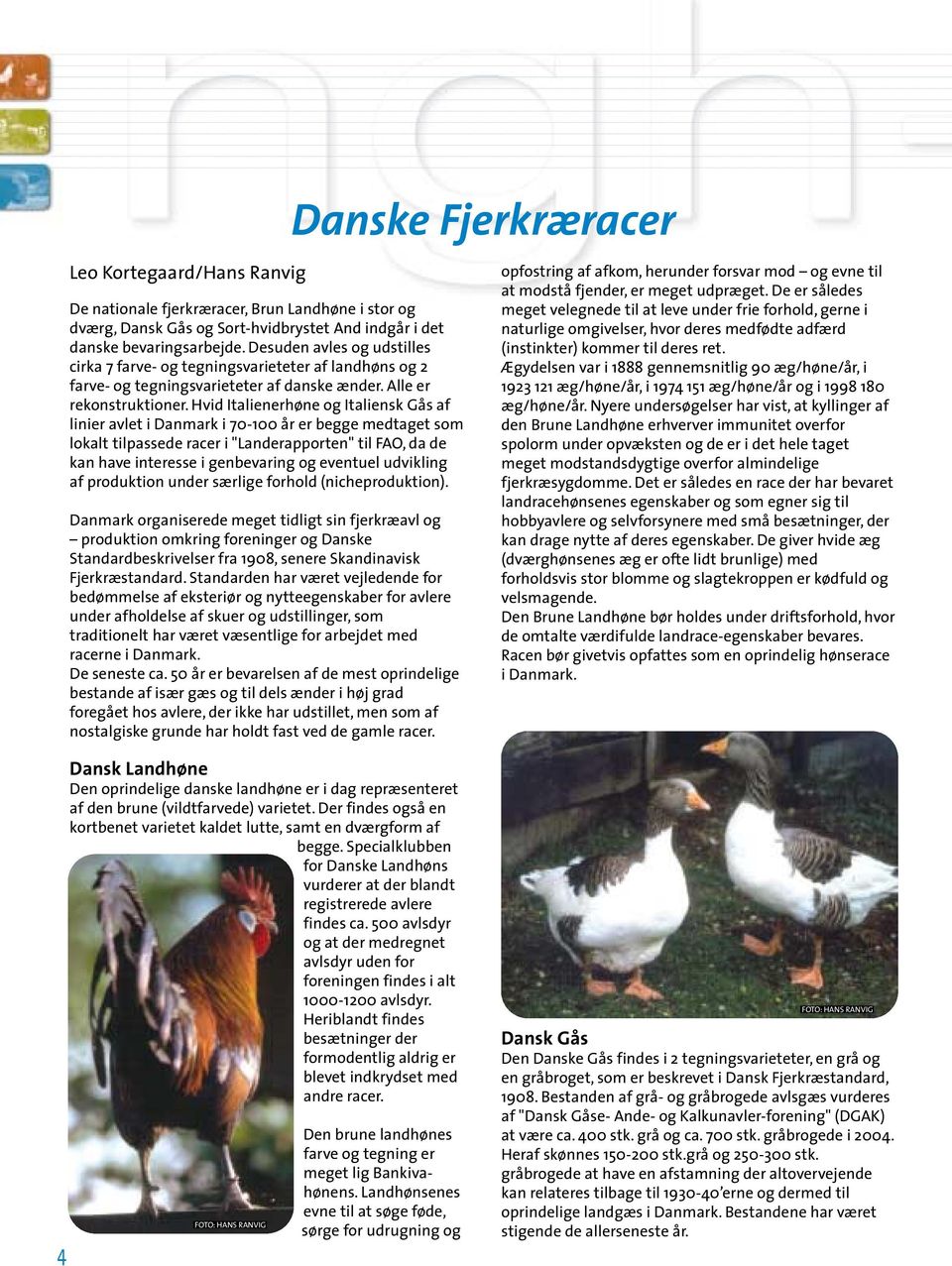 Hvid Italienerhøne og Italiensk Gås af linier avlet i Danmark i 70-100 år er begge medtaget som lokalt tilpassede racer i "Landerapporten" til FAO, da de kan have interesse i genbevaring og eventuel