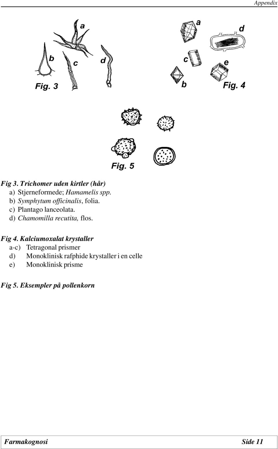 d) Chamomilla recutita, flos. Fig 4.