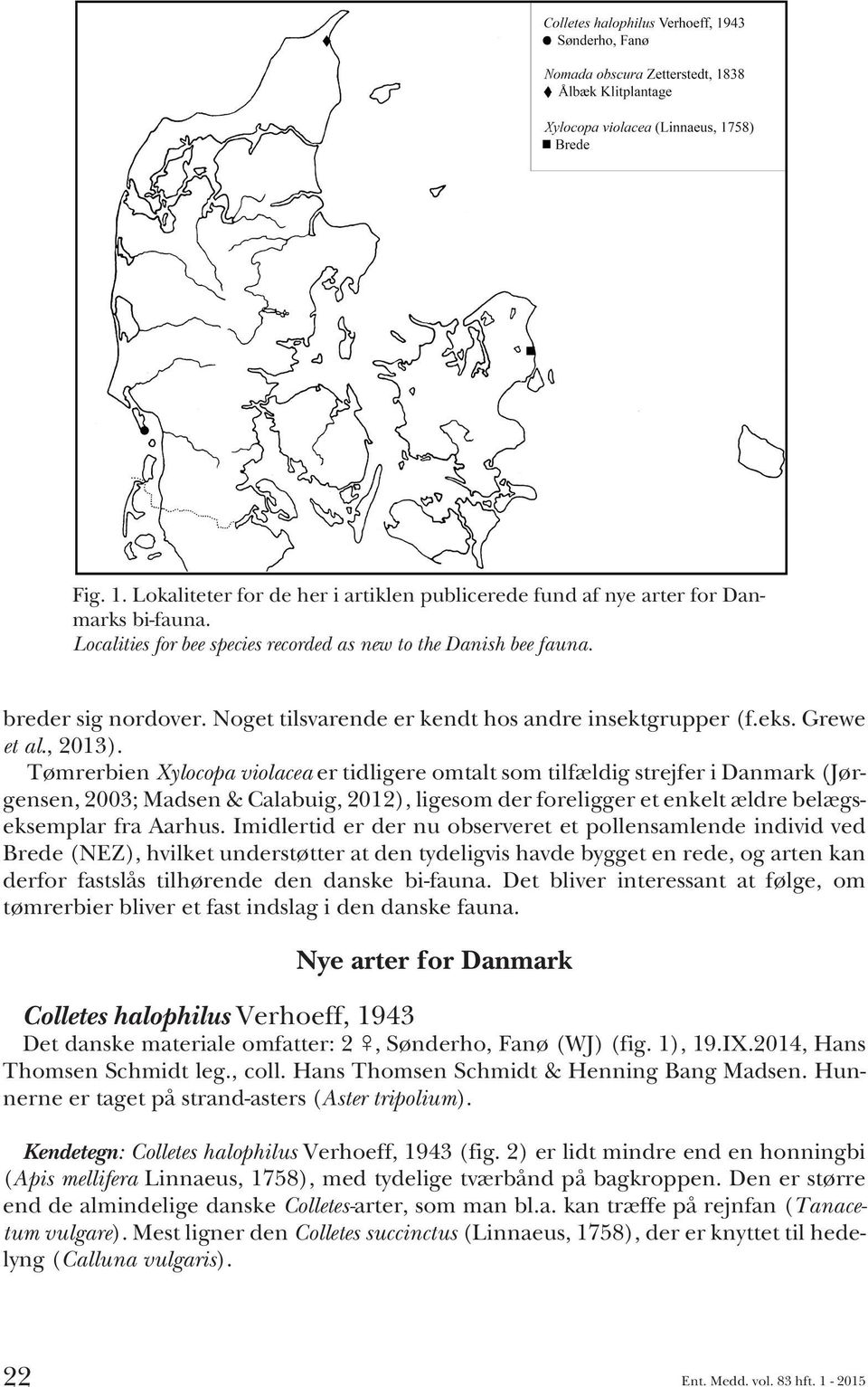 Tømrerbien Xylocopa violacea ertidligereomtaltsomtilfældigstrejferidanmark (Jørgensen, 2003; Madsen & Calabuig, 2012), ligesom der foreligger et enkelt ældre belægseksemplar fra Aarhus.