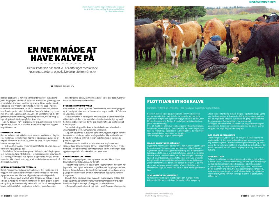 rekorder i leveret mælk til mejeriet. Til gengæld kan Henrik Pedersen Brønderslev glæde sig over at hans kalve strutter af sundhed og velvære.