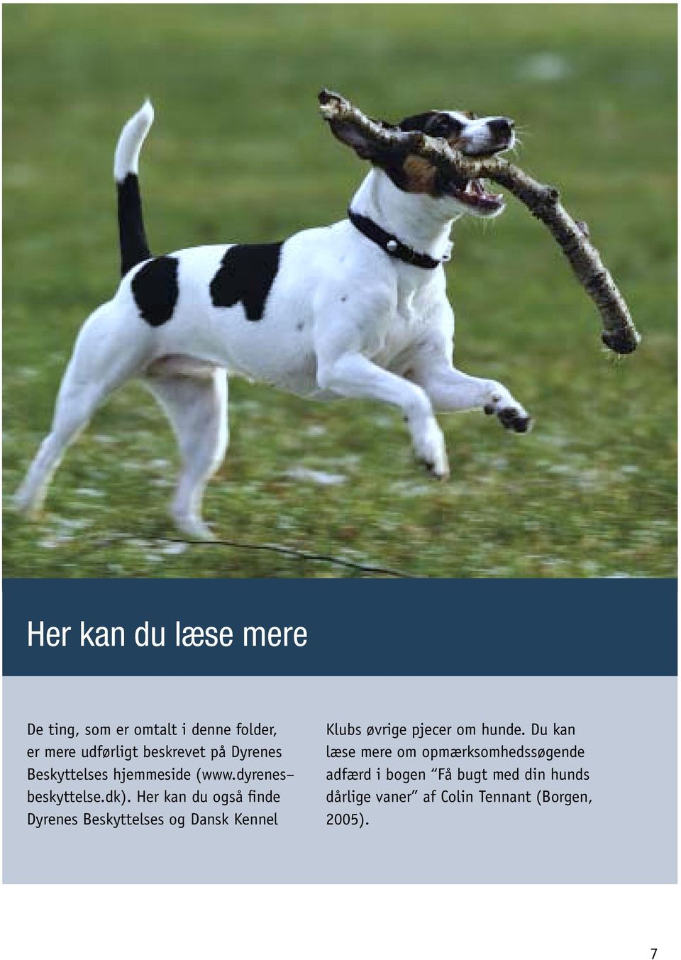 Her kan du også finde Dyrenes Beskyttelses og Dansk Kennel Klubs øvrige pjecer om hunde.