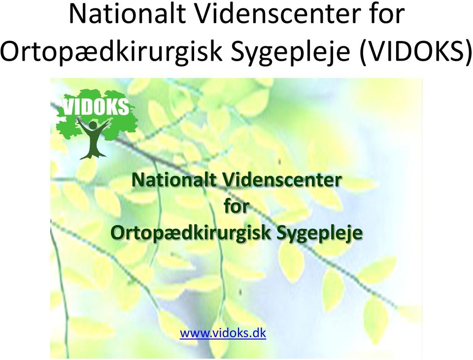 (VIDOKS)   www.vidoks.dk