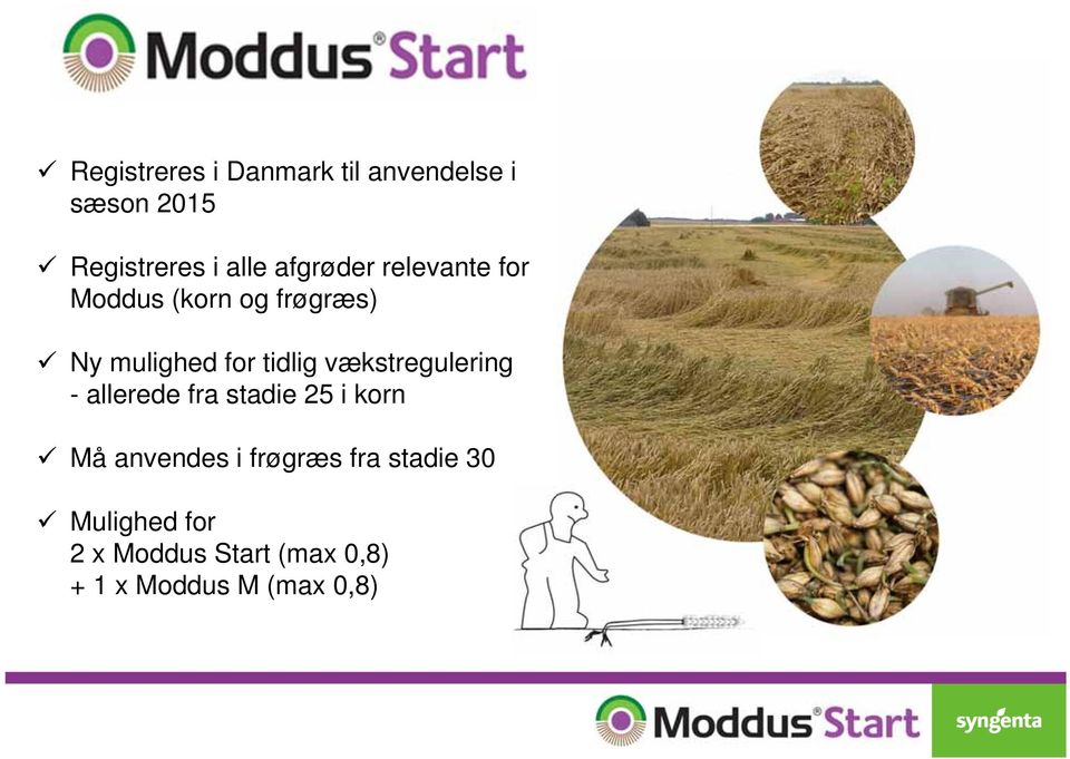 vækstregulering - allerede fra stadie 25 i korn Må anvendes i frøgræs