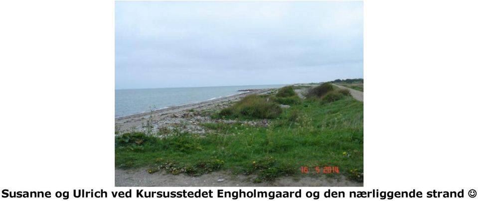 Engholmgaard og