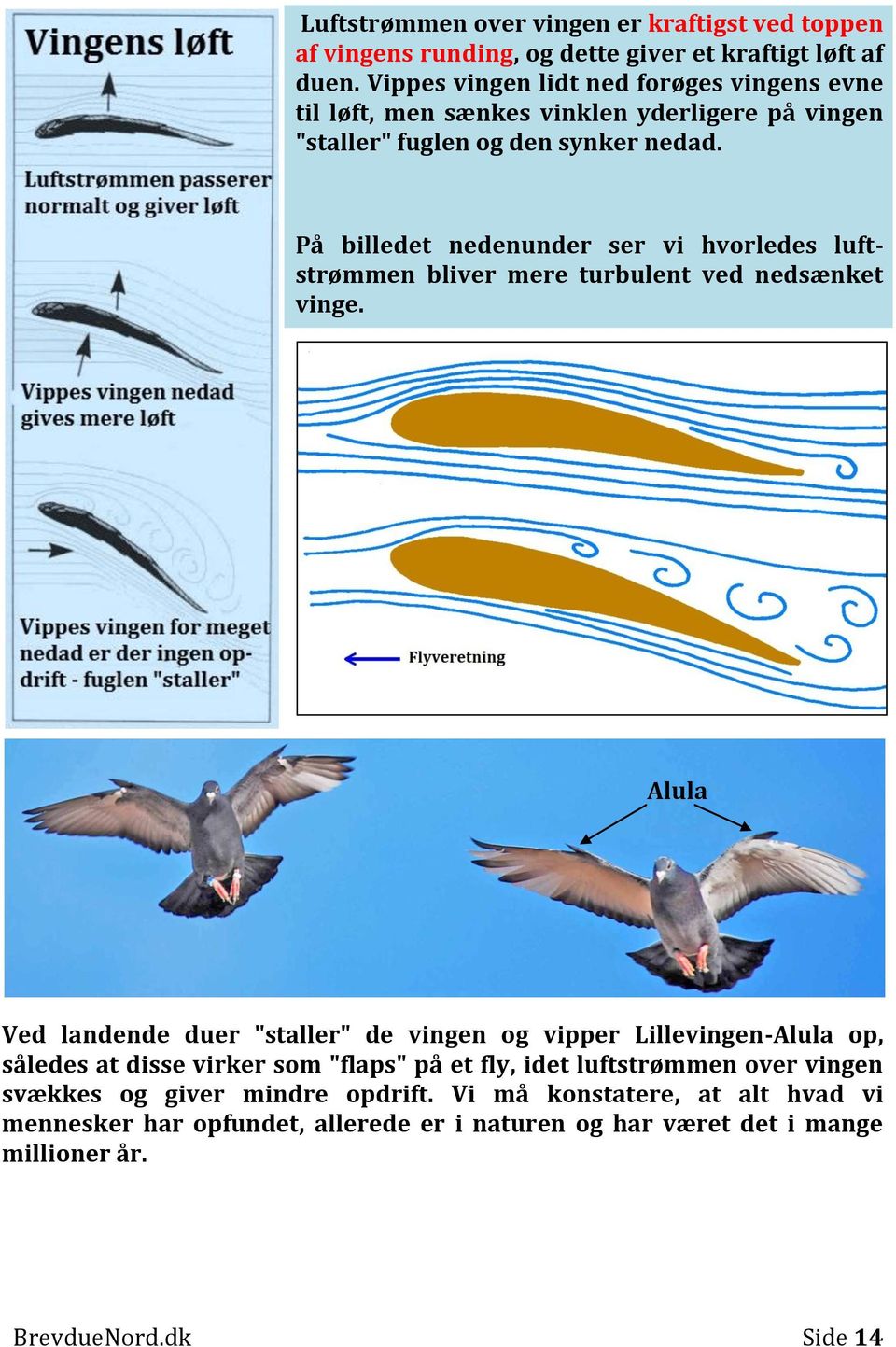 På billedet nedenunder ser vi hvorledes luftstrømmen bliver mere turbulent ved nedsænket vinge.