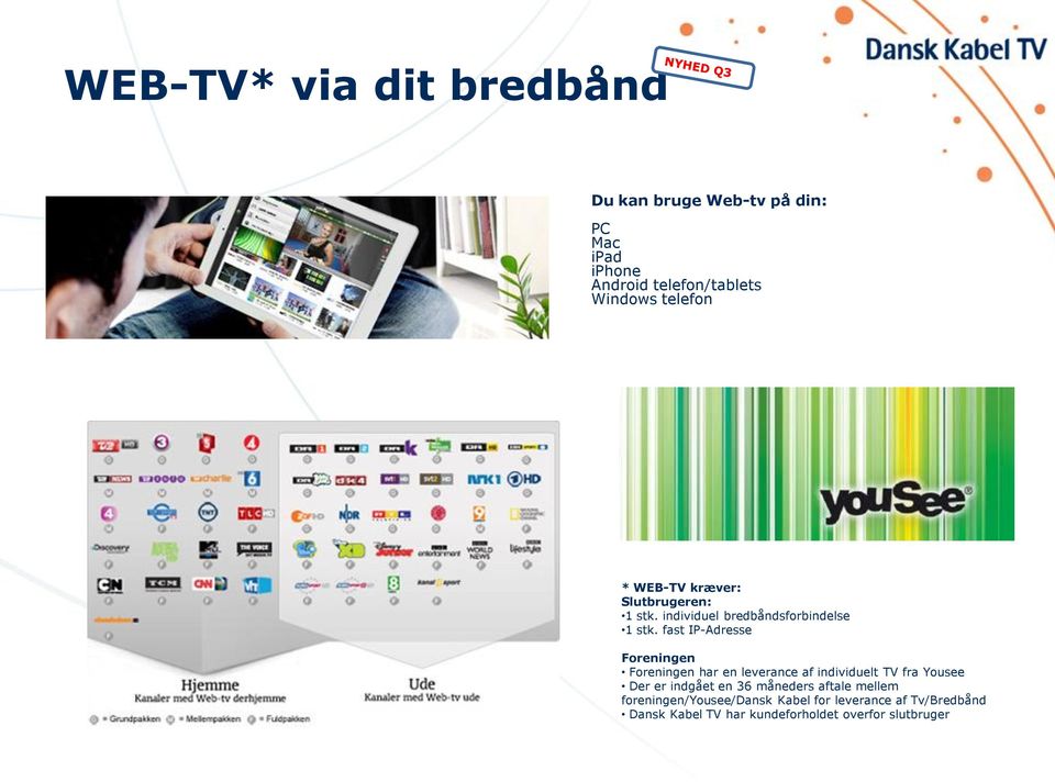 fast IP-Adresse Foreningen Foreningen har en leverance af individuelt TV fra Yousee Der er indgået en 36