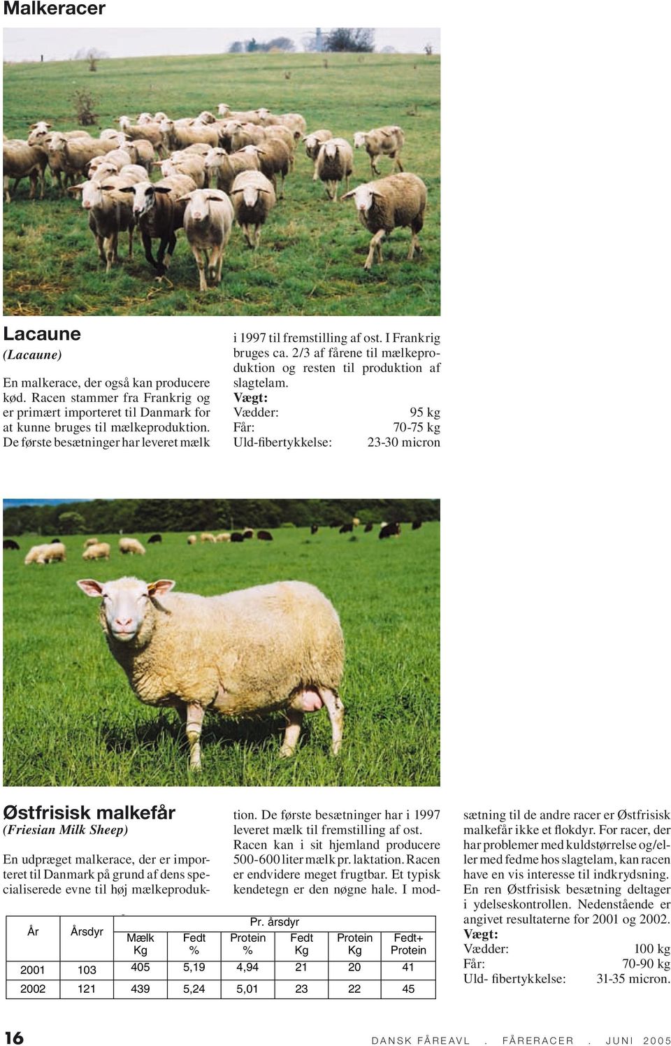 95 kg 70-75 kg Uld-fibertykkelse: 23-30 micron Østfrisisk malkefår (Friesian Milk Sheep) År Årsdyr Mælk Kg Fedt % En udpræget malkerace, der er importeret til Danmark på grund af dens specialiserede