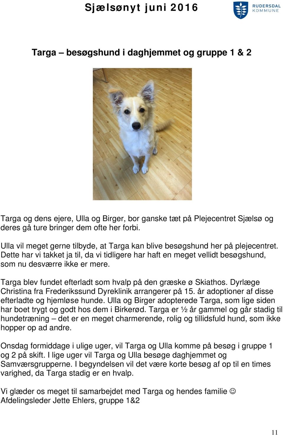 Targa blev fundet efterladt som hvalp på den græske ø Skiathos. Dyrlæge Christina fra Frederikssund Dyreklinik arrangerer på 15. år adoptioner af disse efterladte og hjemløse hunde.