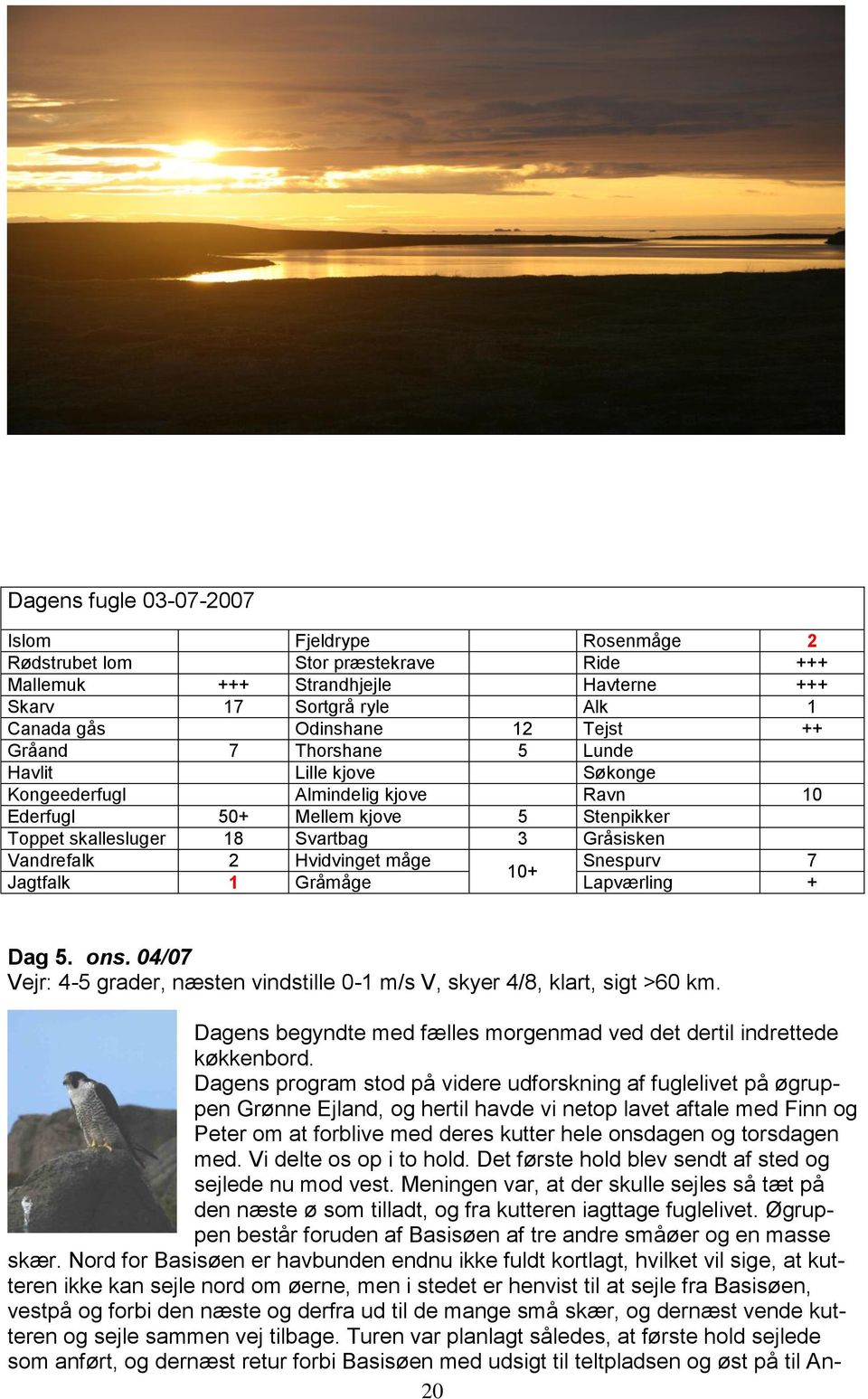 Snespurv 7 10+ Jagtfalk 1 Gråmåge Lapværling + Dag 5. ons. 04/07 Vejr: 4-5 grader, næsten vindstille 0-1 m/s V, skyer 4/8, klart, sigt >60 km.