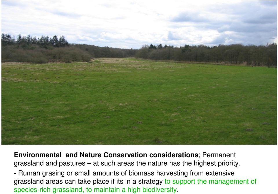 - Ruman grasing or small amounts of biomass harvesting from extensive grassland areas
