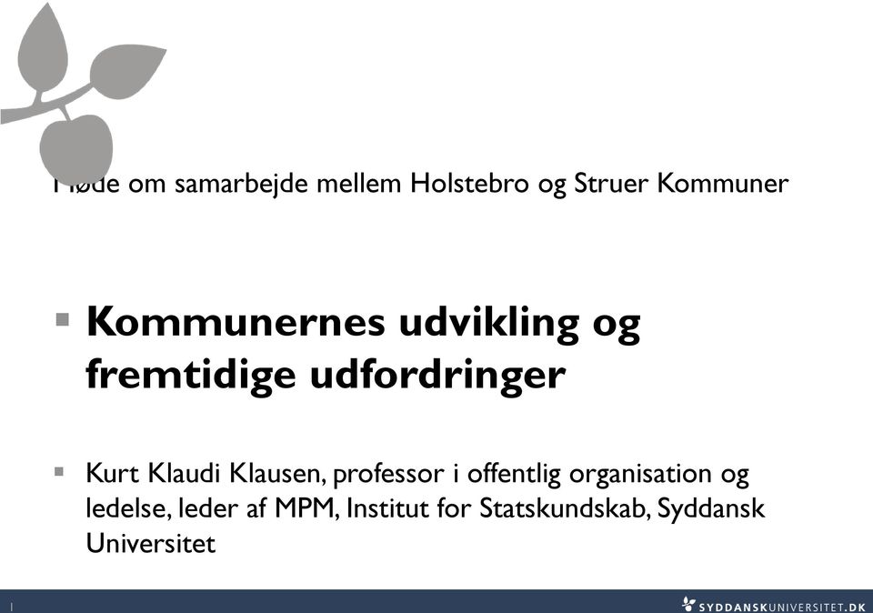 Klaudi Klausen, professor i offentlig organisation og