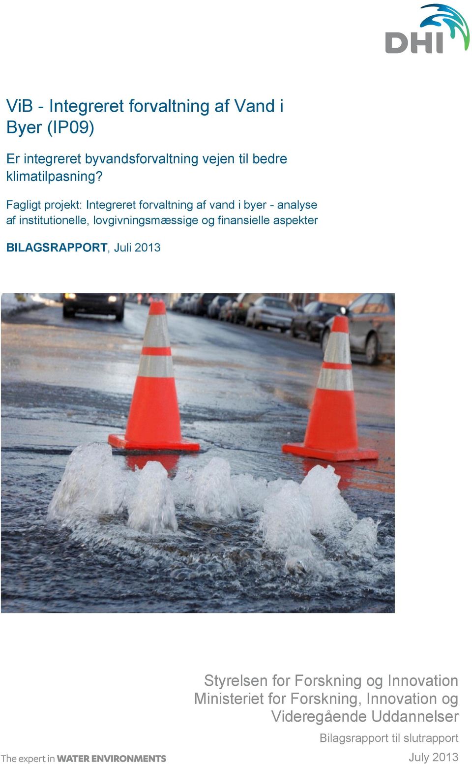 Fagligt projekt: Integreret forvaltning af vand i byer - analyse af institutionelle, lovgivningsmæssige